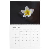 Plumeria Zen Calendar Kalender (Feb 2027)