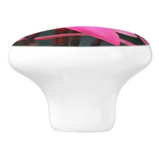 Plumeriafachzug Keramikknauf (Seitenansicht)