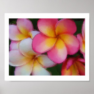 Plumeriafrangipani-Blumenwatercolor-Skizze Poster