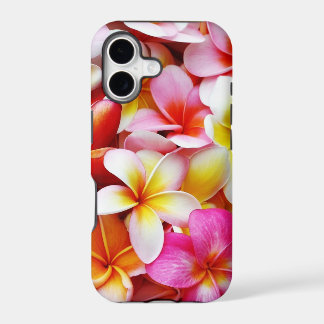 Plumeriafrangipani-Hawaii-Blume besonders