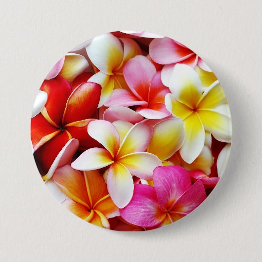 Plumeriafrangipani-Hawaii-Blume besonders Button (Vorderseite)