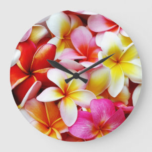 Plumeriafrangipani-Hawaii-Blume besonders Große Wanduhr