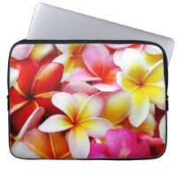 Plumeriafrangipani-Hawaii-Blume besonders