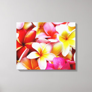 Plumeriafrangipani-Hawaii-Blume besonders Leinwanddruck