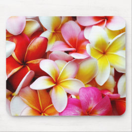 Plumeriafrangipani-Hawaii-Blume besonders Mousepad