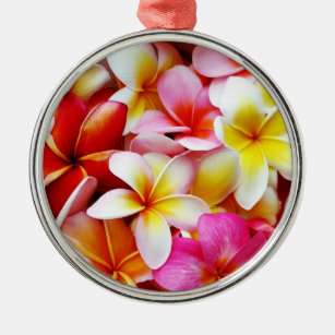 Plumeriafrangipani-Hawaii-Blume besonders Silbernes Ornament