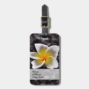 Plumeriafrangipani-Hawaii-Blume Gepäckanhänger