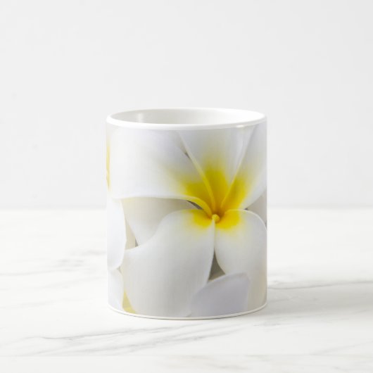 Plumeriafrangipani-Hawaii-Blumen-Blumen-Schablone Kaffeetasse (Mittel)