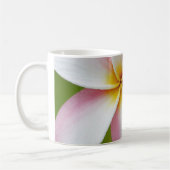 Plumeriafrangipani-Hawaii-Blumen-Hawaiianer-Blumen Kaffeetasse (Links)
