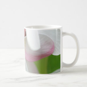Plumeriafrangipani-Hawaii-Blumen-Hawaiianer-Blumen Kaffeetasse