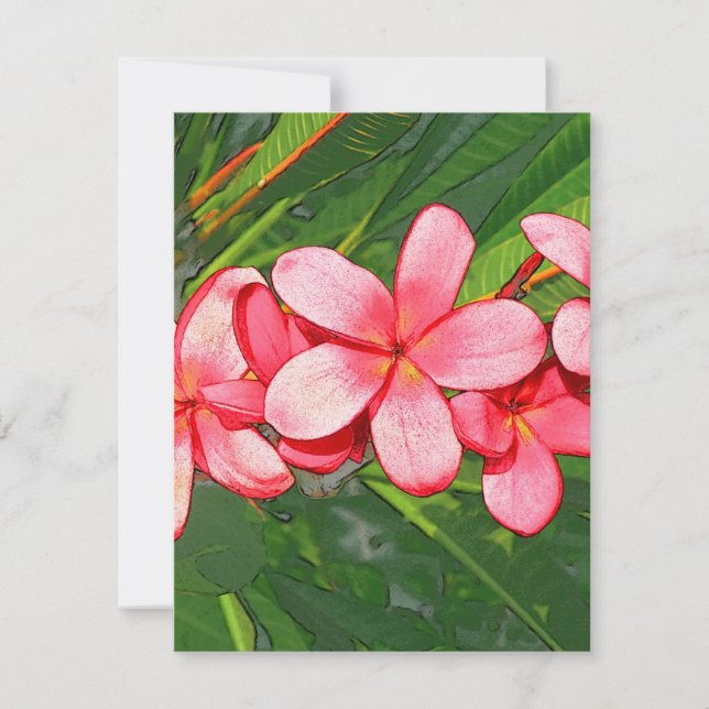 Plumerias (Vorderseite)