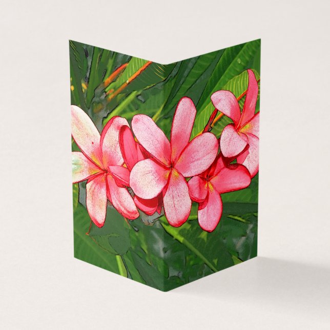 Plumerias (Vorderseite)
