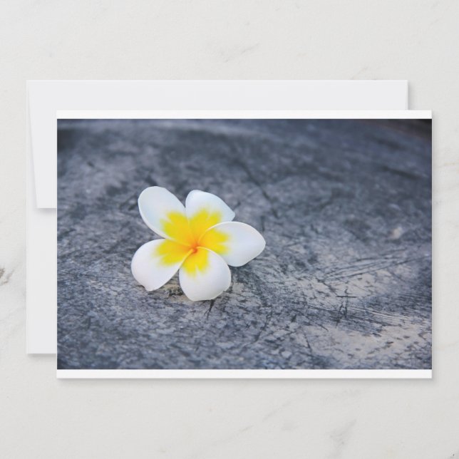 Plumerias (Vorderseite)