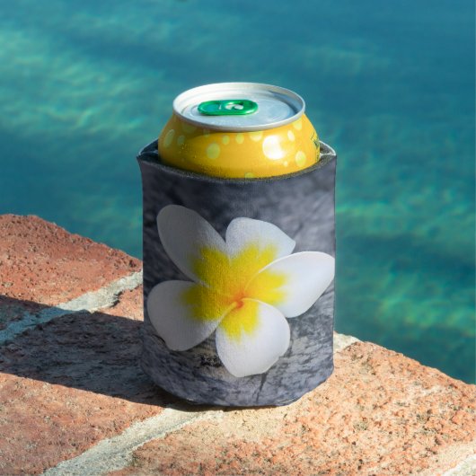 Plumerias Dosenkühler (In Situ Pool)