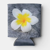 Plumerias Dosenkühler (Vorderseite)