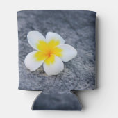 Plumerias Dosenkühler (Rückseite)