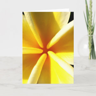 Plumerias Feiertagskarte