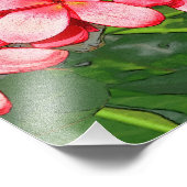 Plumerias Fotodruck (Ecke)