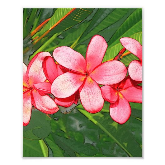 Plumerias Fotodruck (Vorne)