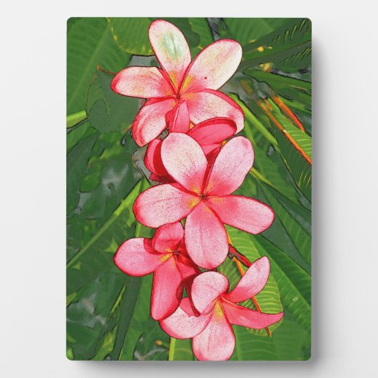 Plumerias Fotoplatte (Vorderseite)