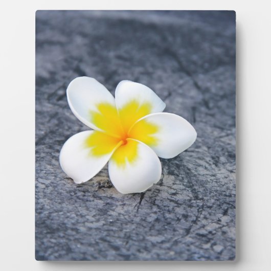 Plumerias Fotoplatte (Vorderseite)