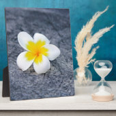 Plumerias Fotoplatte (Seite)