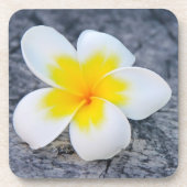 Plumerias Getränkeuntersetzer (Vorderseite)