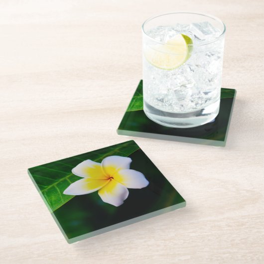 Plumerias Glasuntersetzer (Schrägansicht)