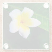 Plumerias Glasuntersetzer (Rückseite)