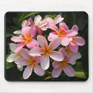 Plumerias in der Blüte Mousepad