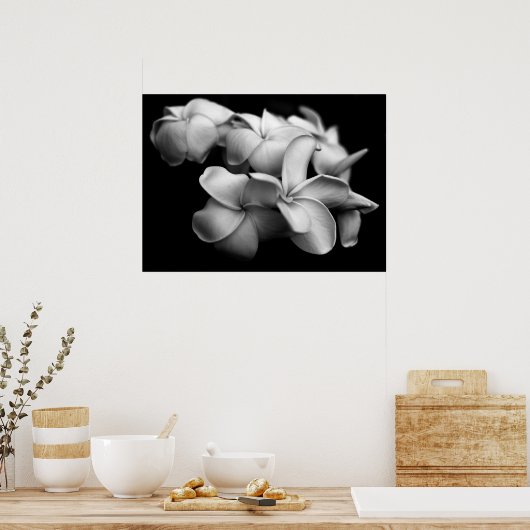 Plumerias in Schwarz und Weiß Poster (Küche)