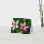 Plumerias in weißer und rosa geklappter Grußkarte Karte (Vorderseite)