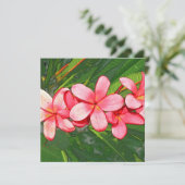 Plumerias Karte (Stehend Vorderseite)