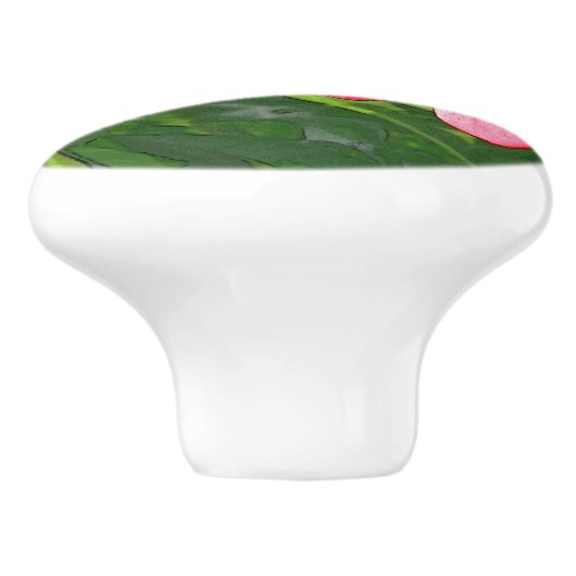 Plumerias Keramikknauf (Seitenansicht)