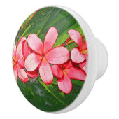 Plumerias Keramikknauf (Rechts)