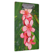 Plumerias Klemmbrett (Rechts)