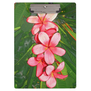 Plumerias Klemmbrett