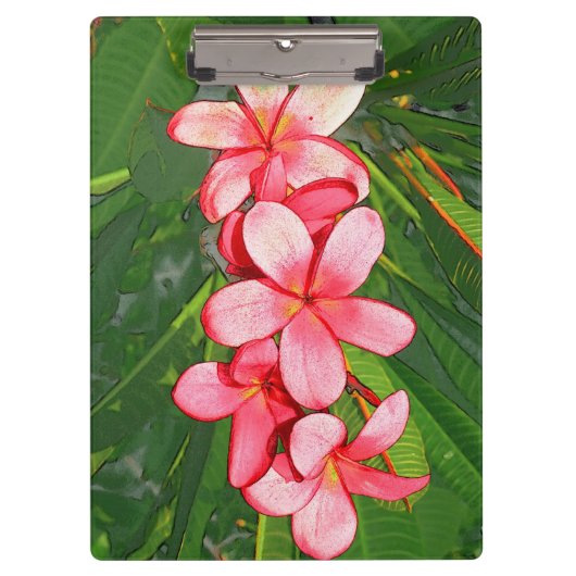 Plumerias Klemmbrett (Vorderseite)