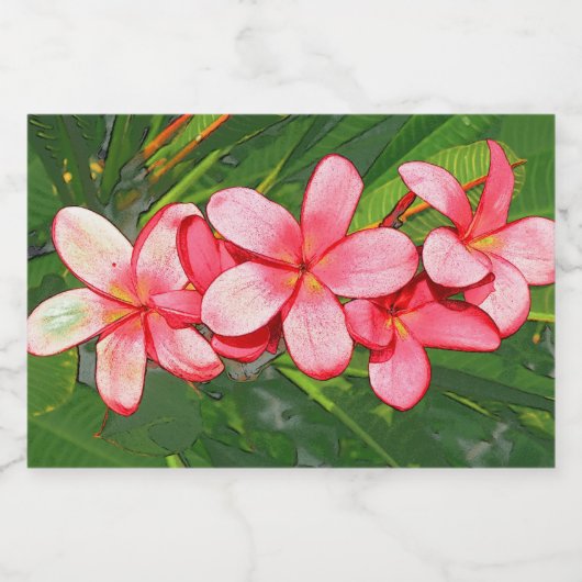 Plumerias Lebensmitteletikett (Einzelnes Label)