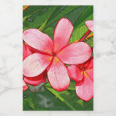 Plumerias Lebensmitteletikett (Einzelnes Label)