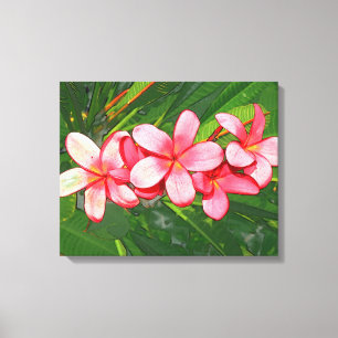 Plumerias Leinwanddruck