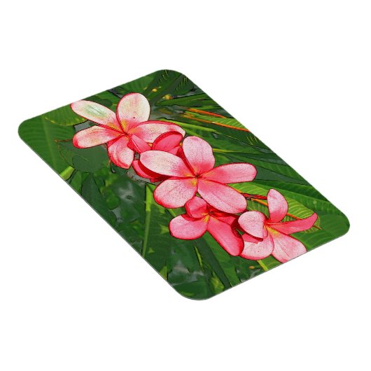 Plumerias Magnet (Rechte Seite)