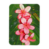 Plumerias Magnet (Vertikal)