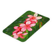 Plumerias Magnet (Linke Seite)
