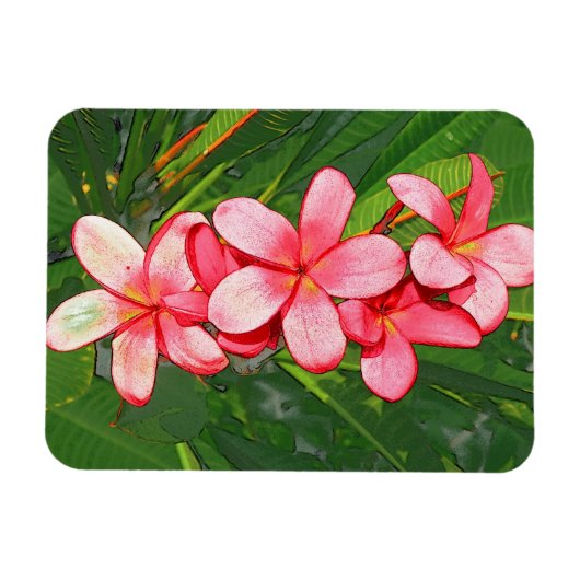 Plumerias Magnet (Horizontal)
