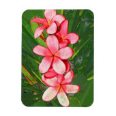 Plumerias Magnet (Vertikal)