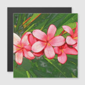 Plumerias Magnetkarte (Vorne/Hinten)