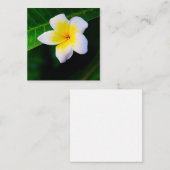 Plumerias Mitteilungskarte (Vorne/Hinten)