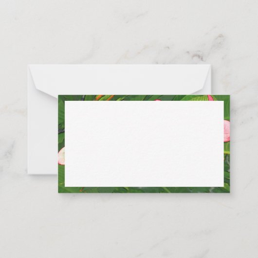 Plumerias Mitteilungskarte (Rückseite)