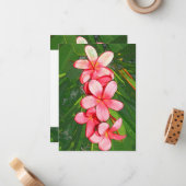 Plumerias Mitteilungskarte (Vorderseite/Rückseite Beispiel)